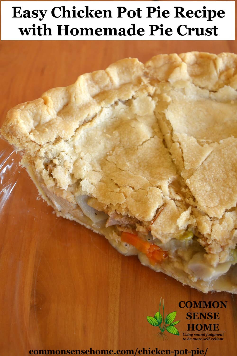 Easy Chicken Pot Pie Recipe with Homemade Pie Crust