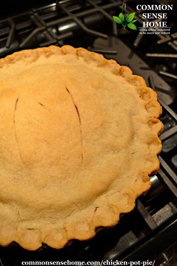 Easy Chicken Pot Pie Recipe with Homemade Pie Crust
