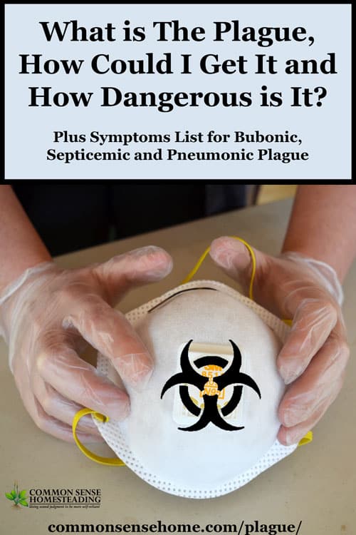 What is The Plague, How Could I Get It and How Dangerous is It?