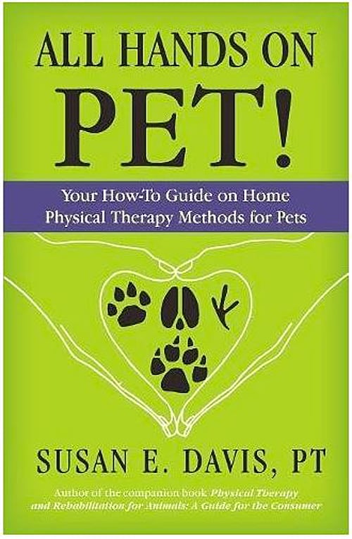 All Hands on Pet: Your How-to Guide on Home Physical Therapy Methods for Pets