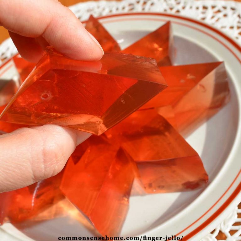 Finger Jello Made with Fruit Juice and Gelatin
