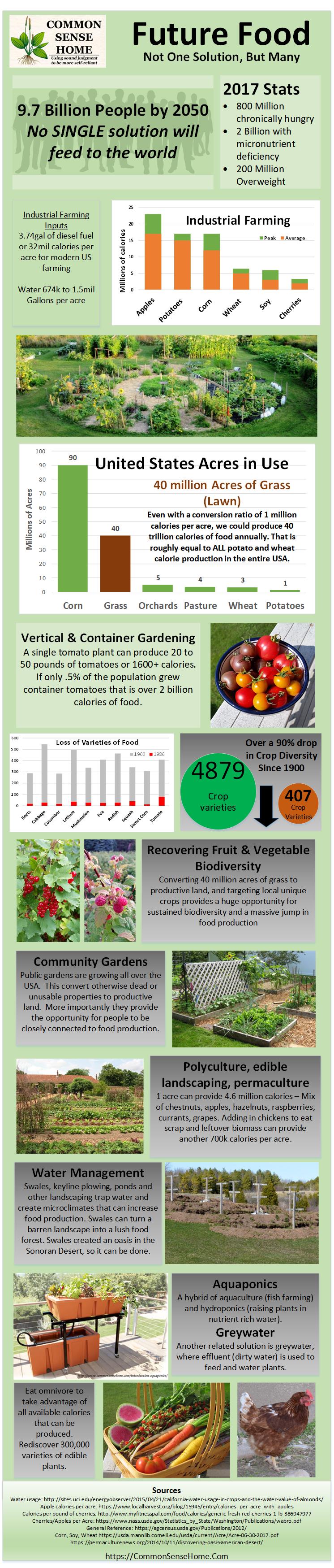 INFOGRAPHIC - Future Food - Not One Solution, But Many, for How to Feed the World