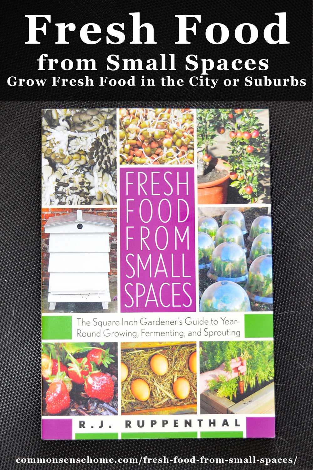 Fresh Food from Small Spaces - Grow Fresh Food in the City or Suburbs