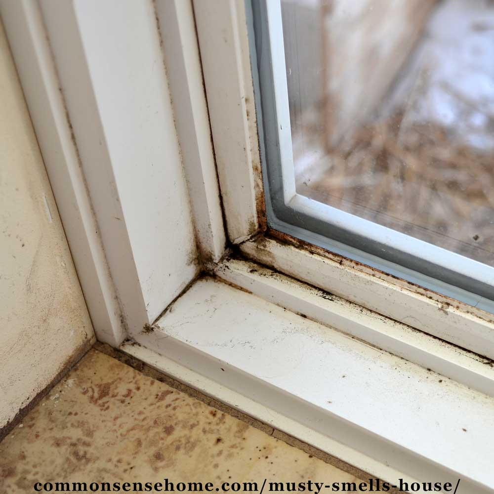 mold in window musty smell