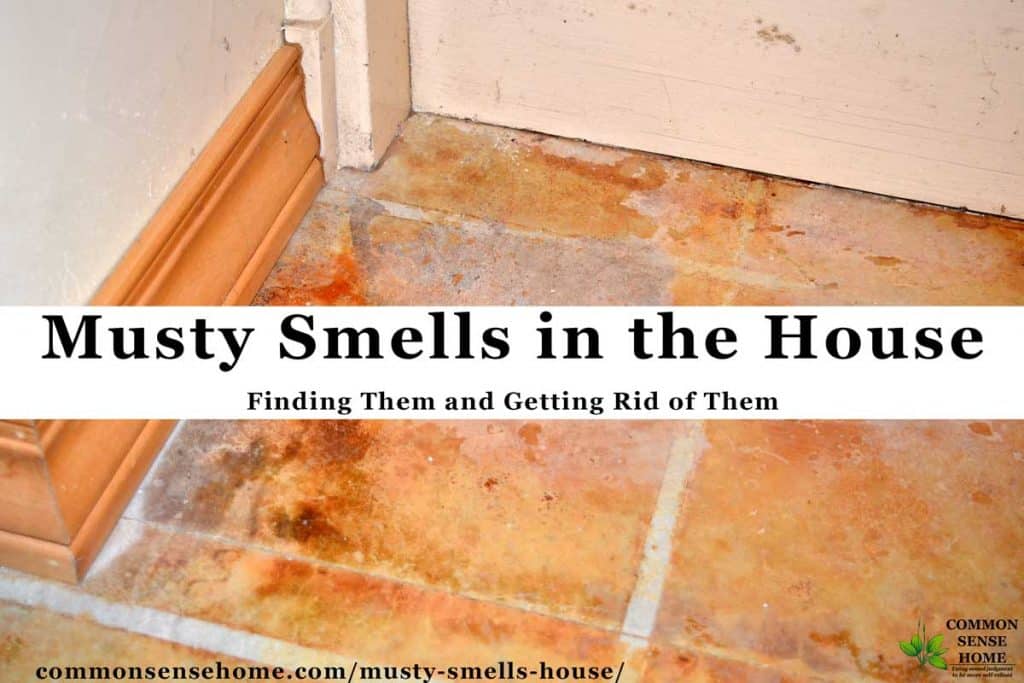 Sources of musty smells in the house and how to deal with them. Identifying mold versus mildew. Why your house only smells musty at certain times of the year.