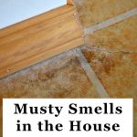 Smelly basement floor with mildew