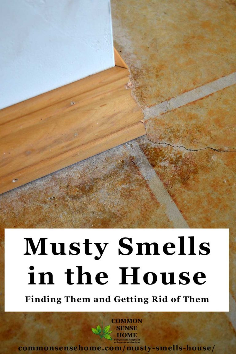 Musty Smells in the House Finding Them and Getting Rid of Them