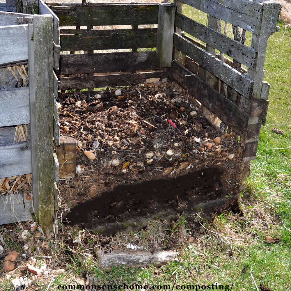 Finished compost in compost bin