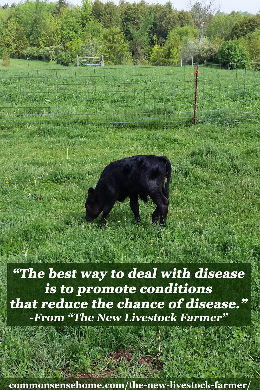 “The best way to deal with disease is to promote conditions that reduce the chance of disease.”