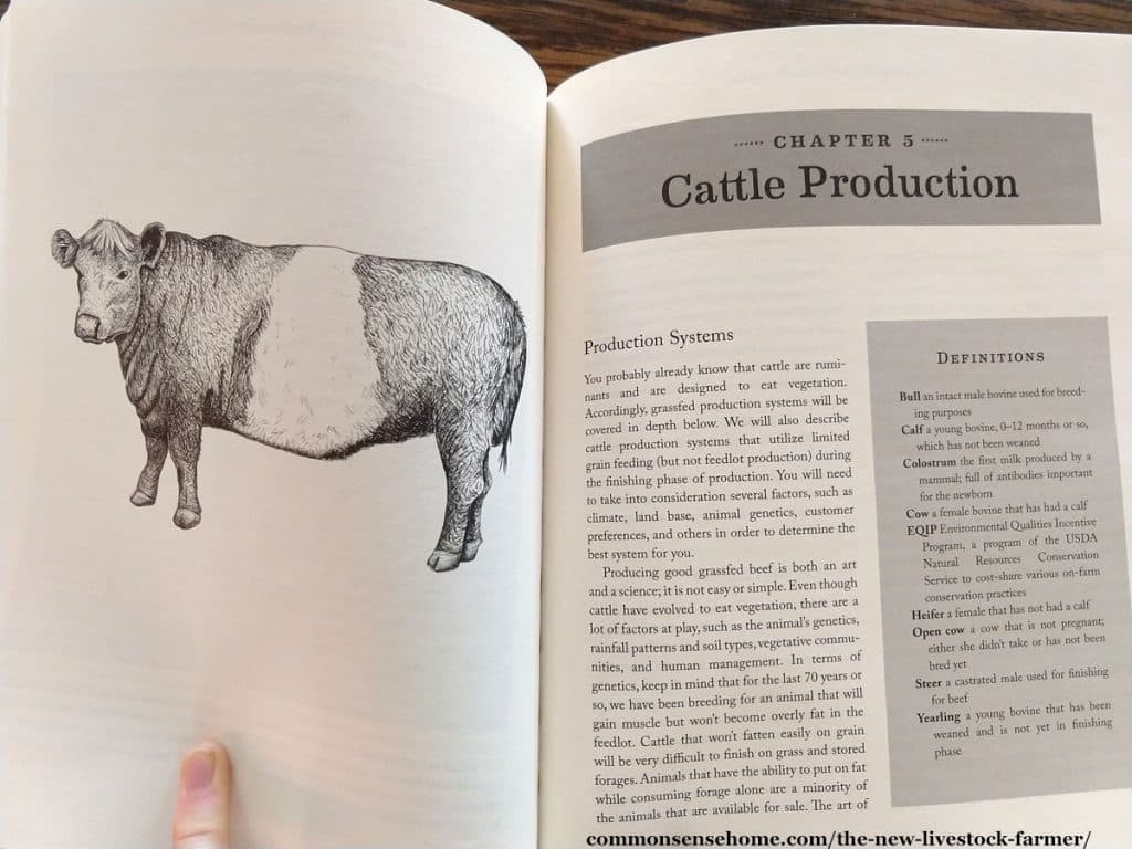 The New Livestock Farmer: The Business of Raising & Selling Ethical Meat