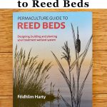 Permaculture Guide to Reed Beds for Home Wastewater Treatment