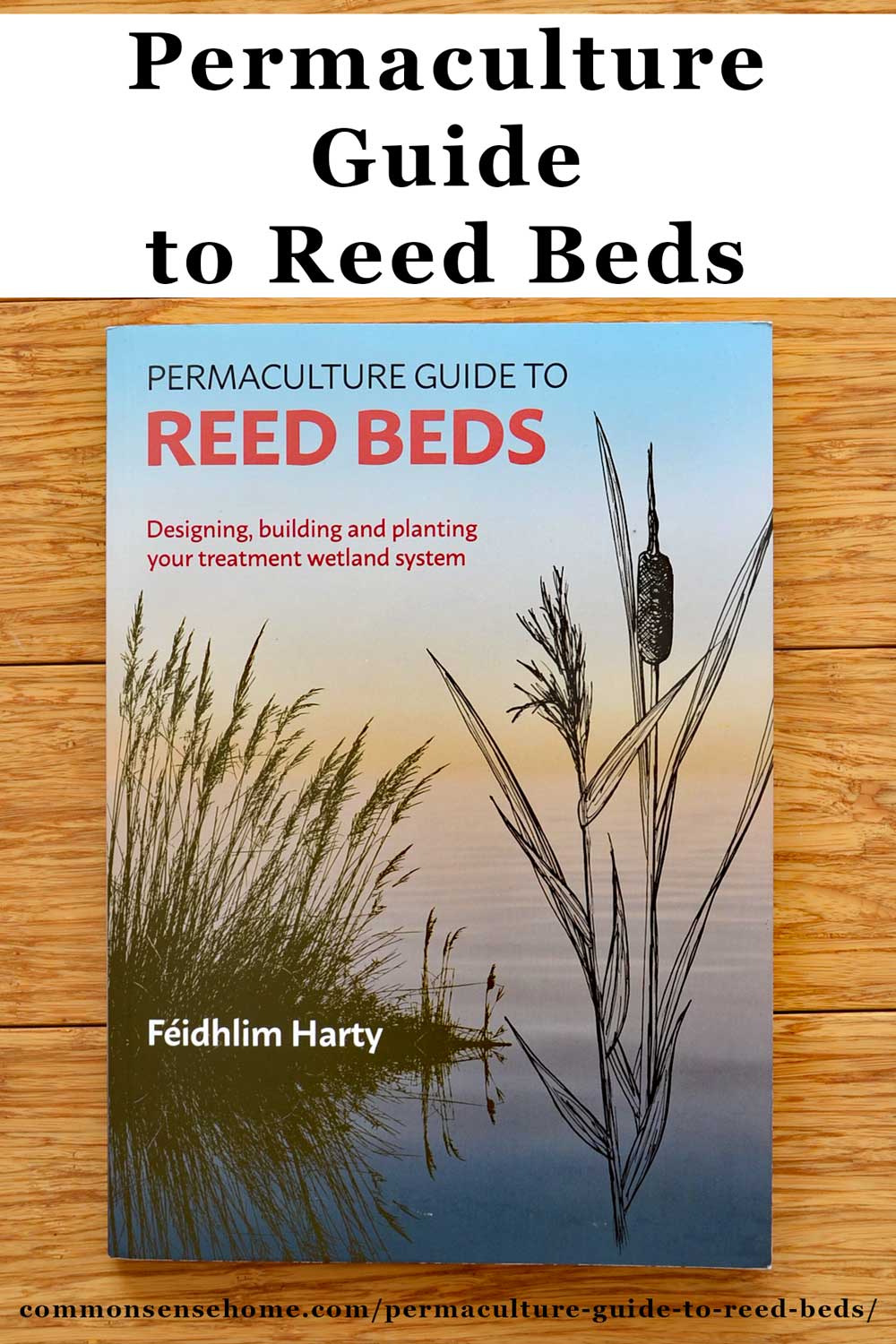 Permaculture Guide to Reed Beds for Home Wastewater Treatment