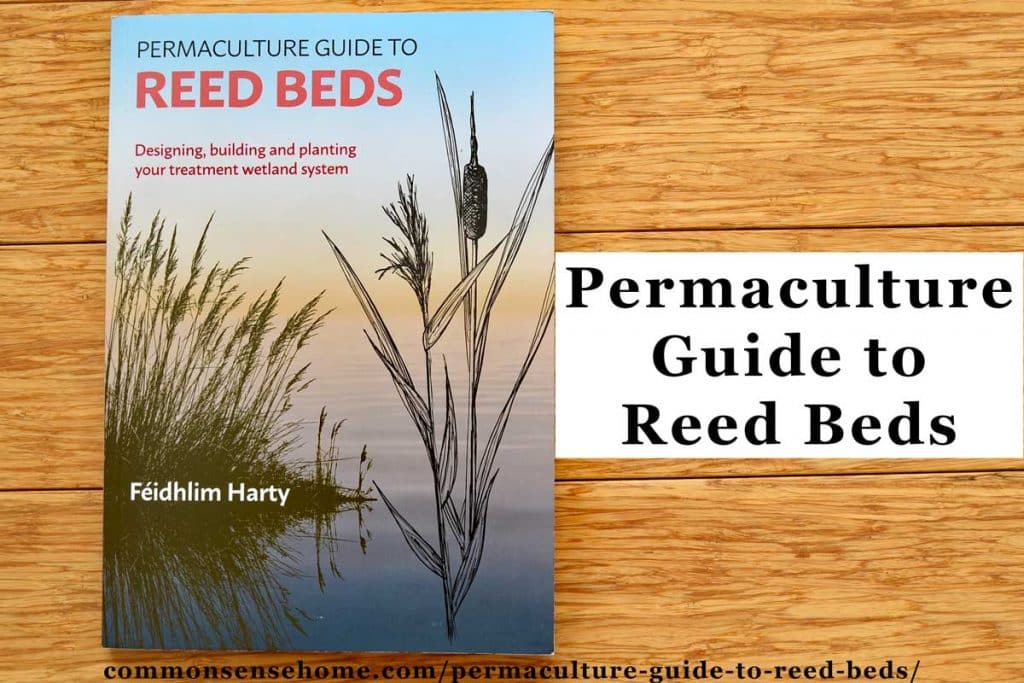 Permaculture Guide to Reed Beds for Home Wastewater Treatment