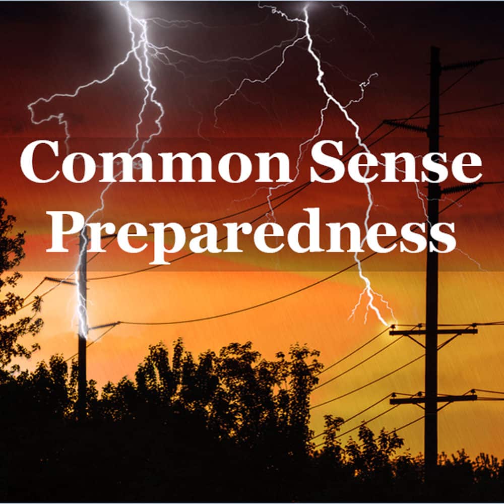 Common Sense Preparedness white text against orange storm sky, lightening and power lines