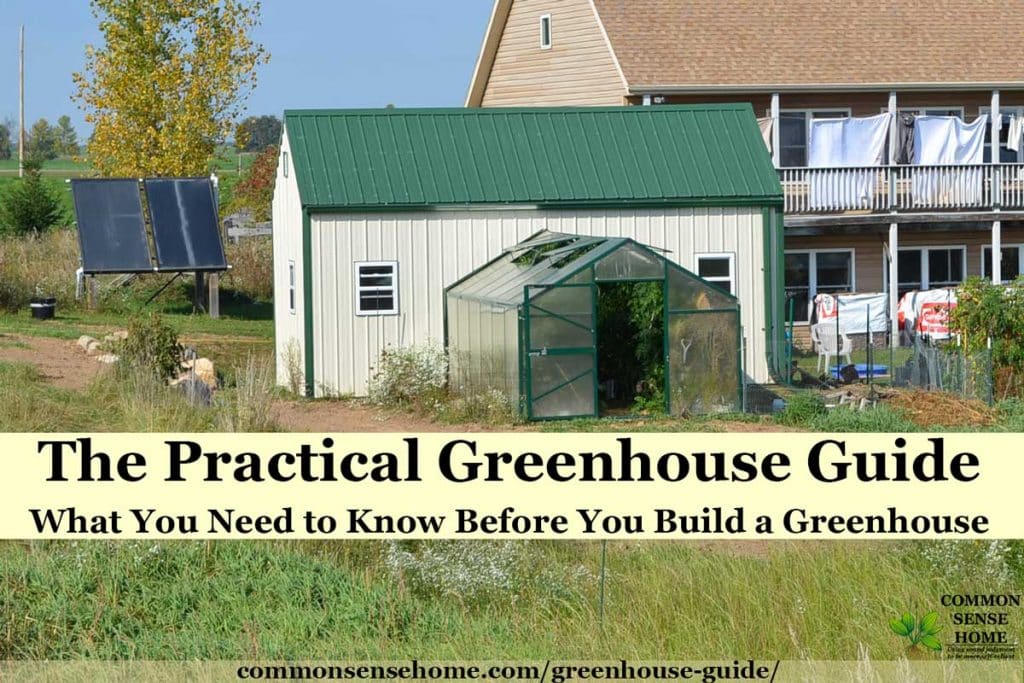 greenhouse attached to garden shed