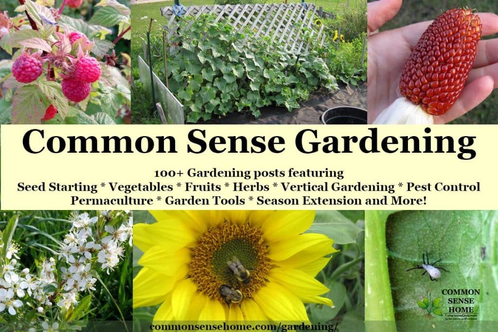 "Common Sense Gardening" text overlay on garden images