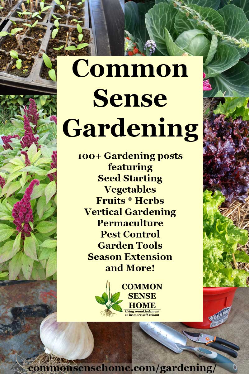 "Common Sense Gardening" text overlay of garden images