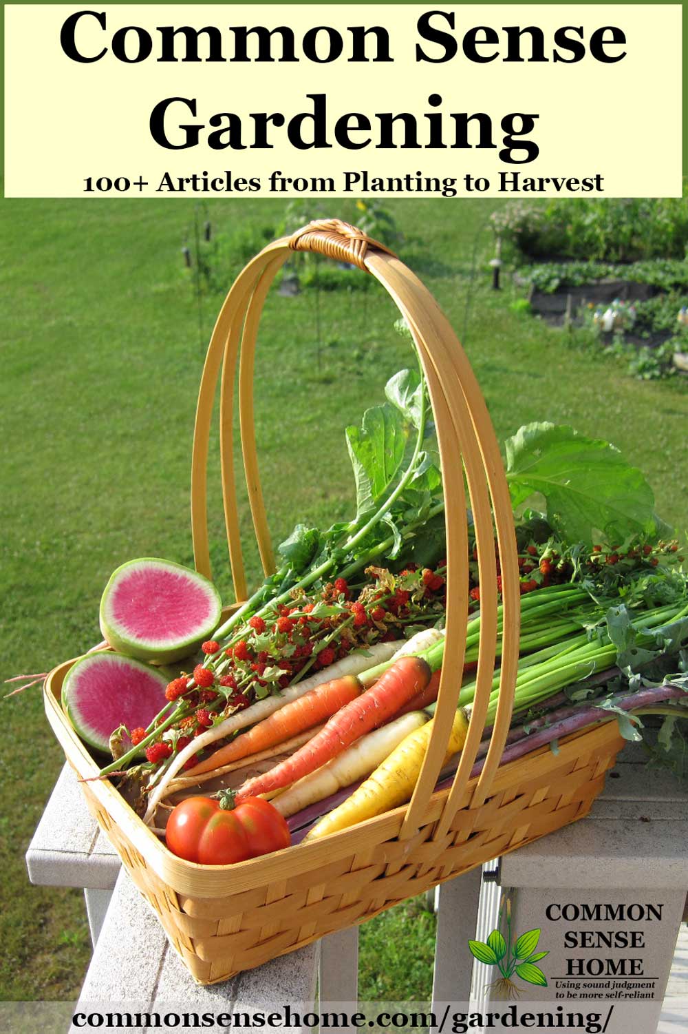 basket of brightly colored home garden produce