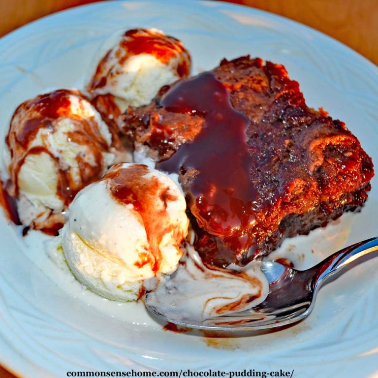 Mom’s Best Chocolate Pudding Cake Recipe – Easy, From Scratch