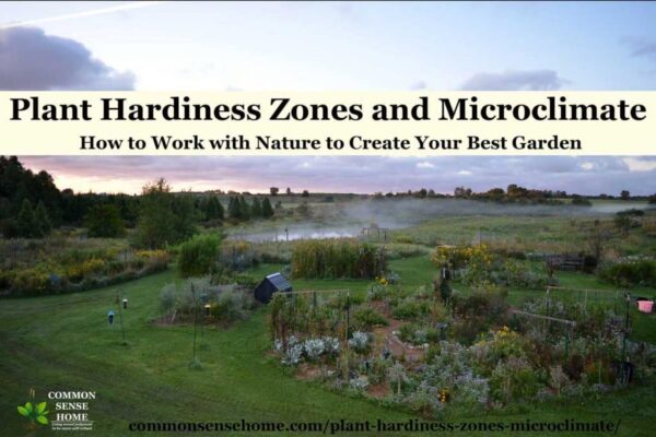 Plant Hardiness Zones and Garden Microclimates