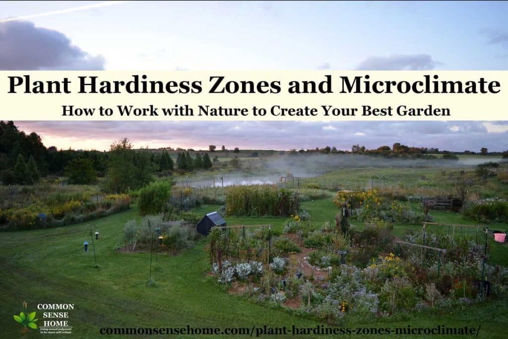 garden beds with pond in background to create a microclimate