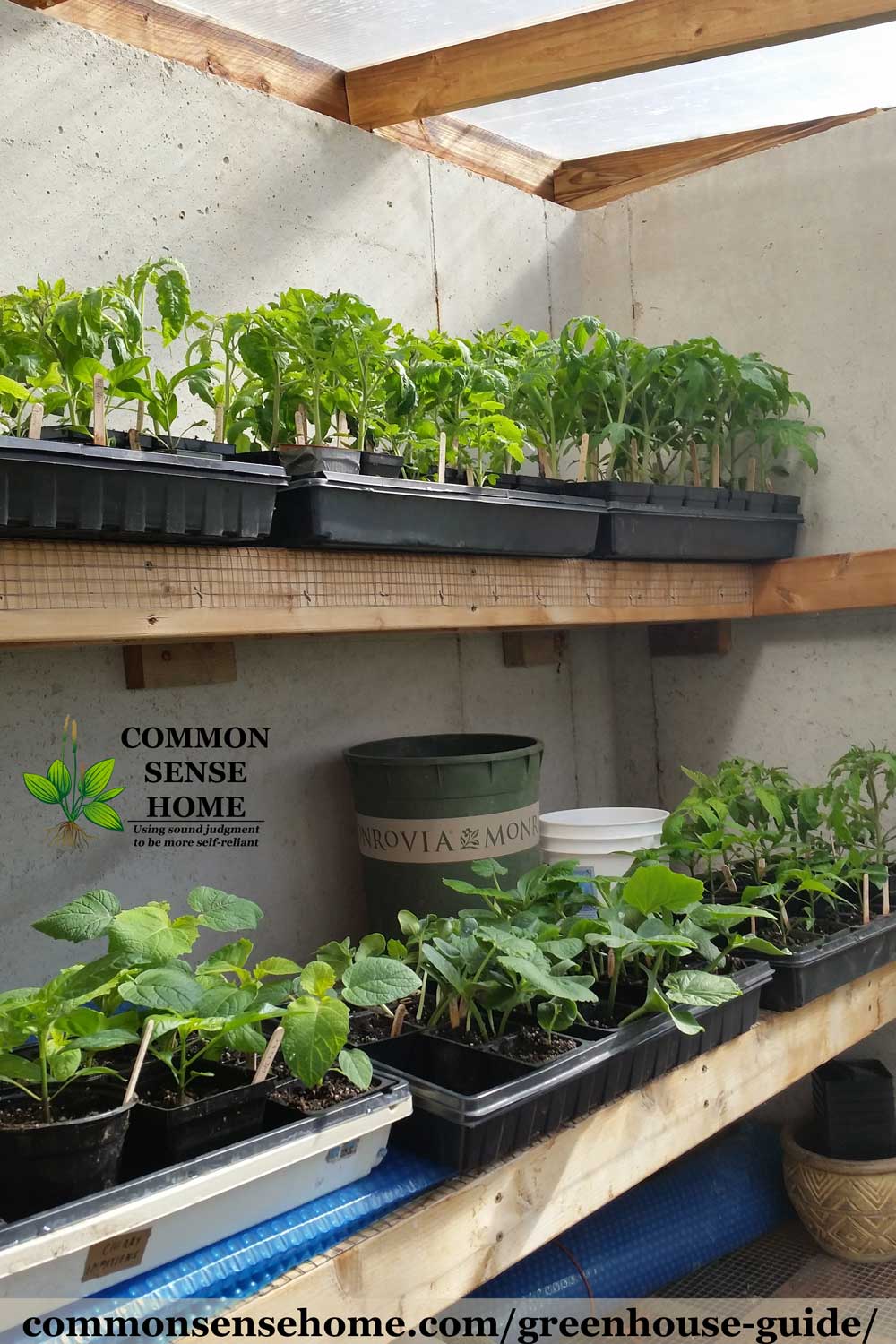 plant shelving