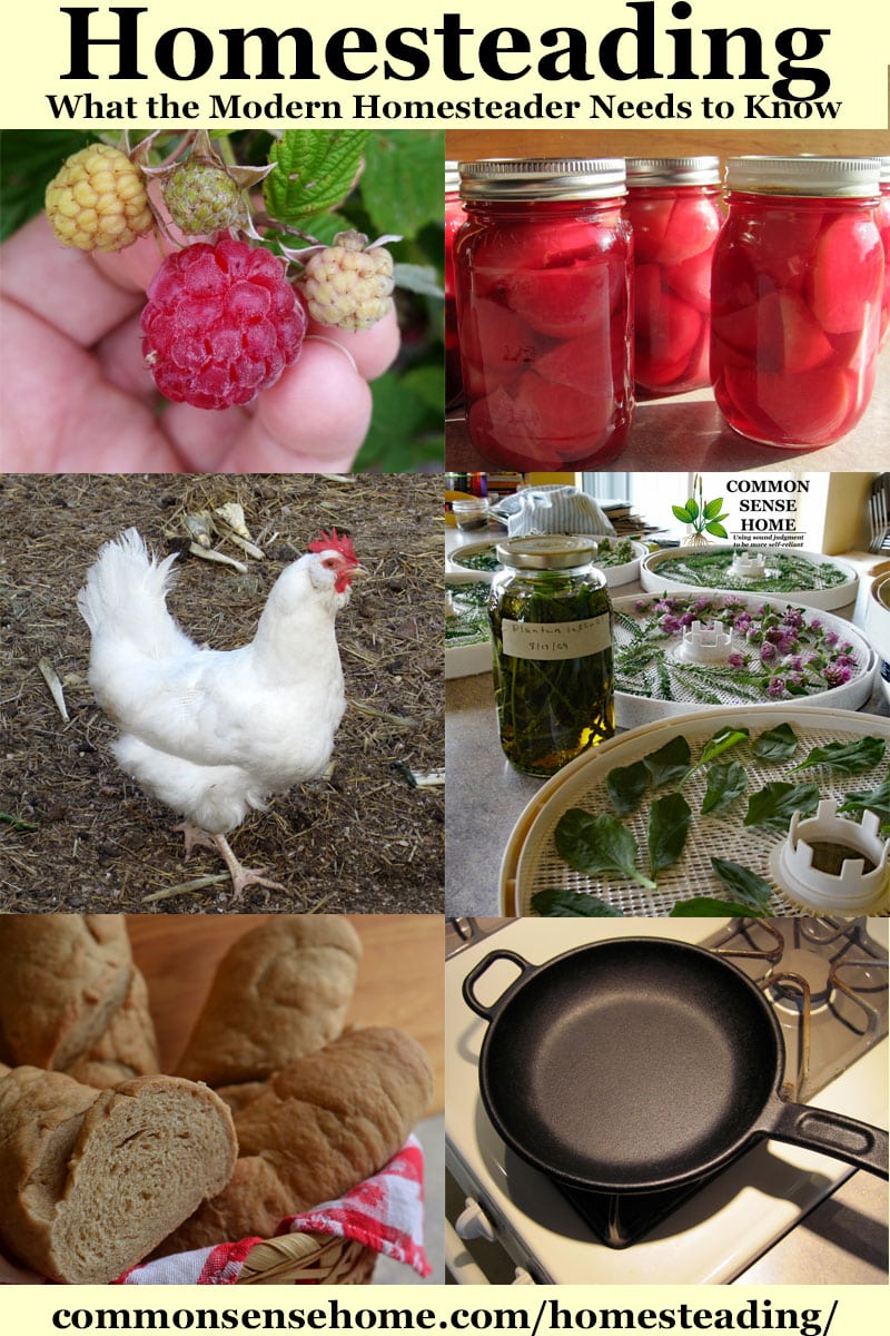 collage of homesteading photos