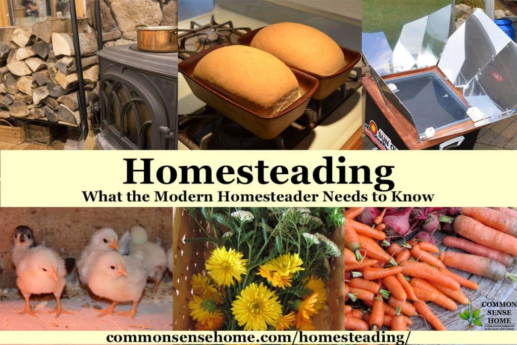 Collage of homesteading image with text overlay, "Homesteading - What the Modern Homesteader Needs to Know"