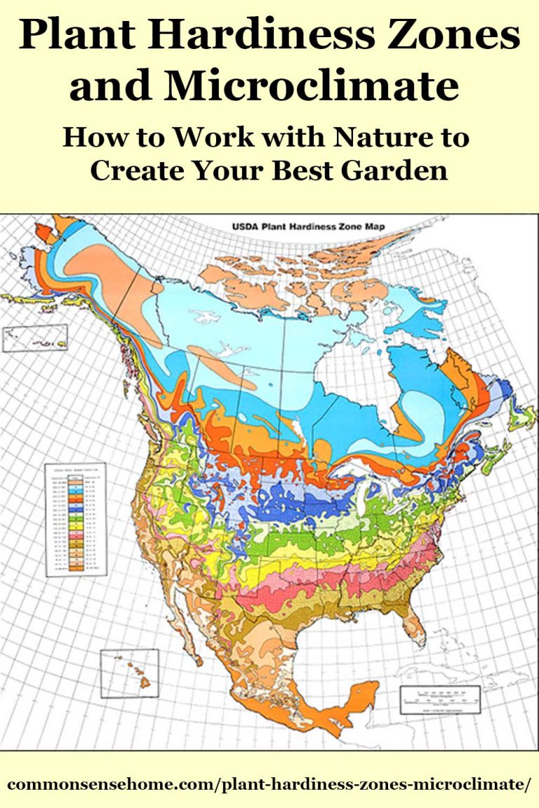Plant Hardiness Zones and Garden Microclimates