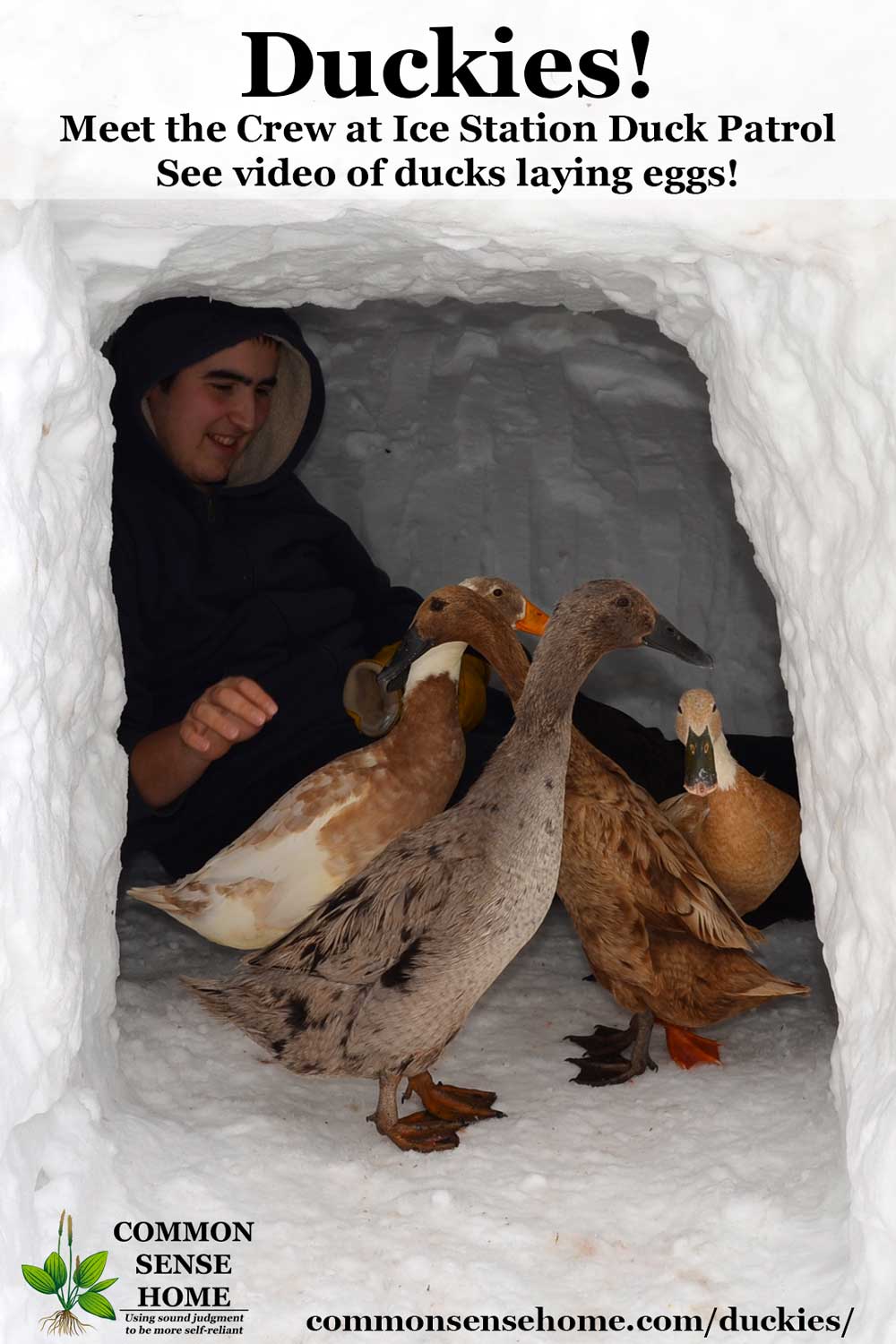 runner ducks in snow fort with boy