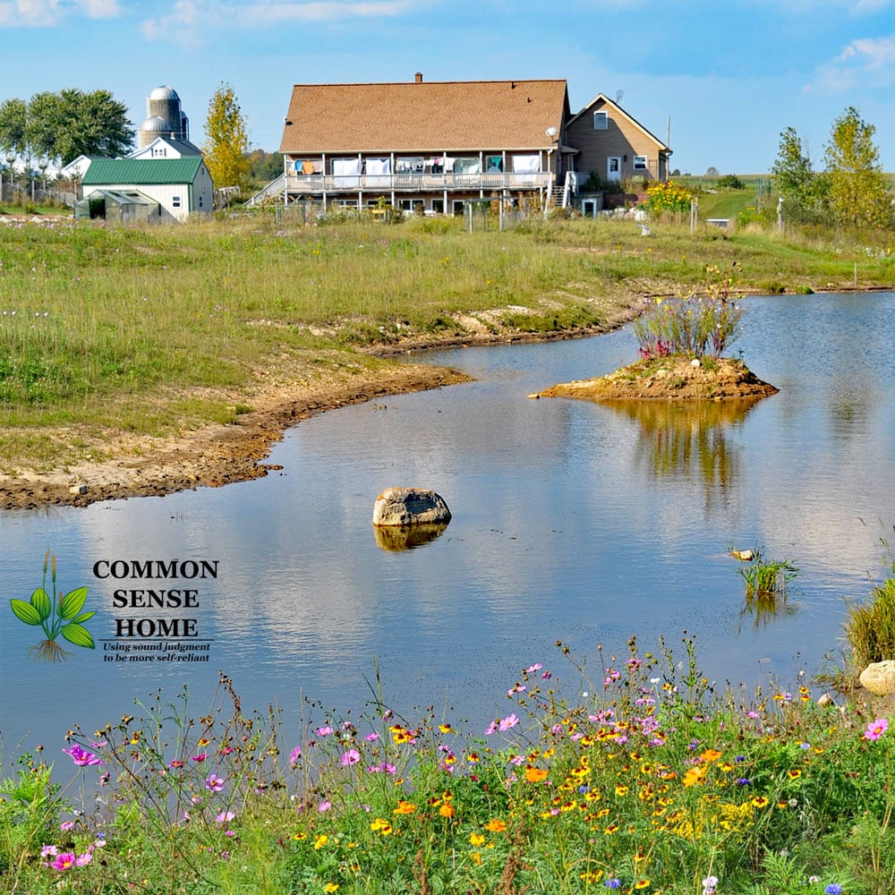 homestead with outbuilding and greenhouse with pond in foreground