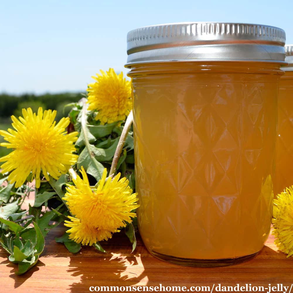 jar of low sugar dandelion jelly with dandelions against a blue sky