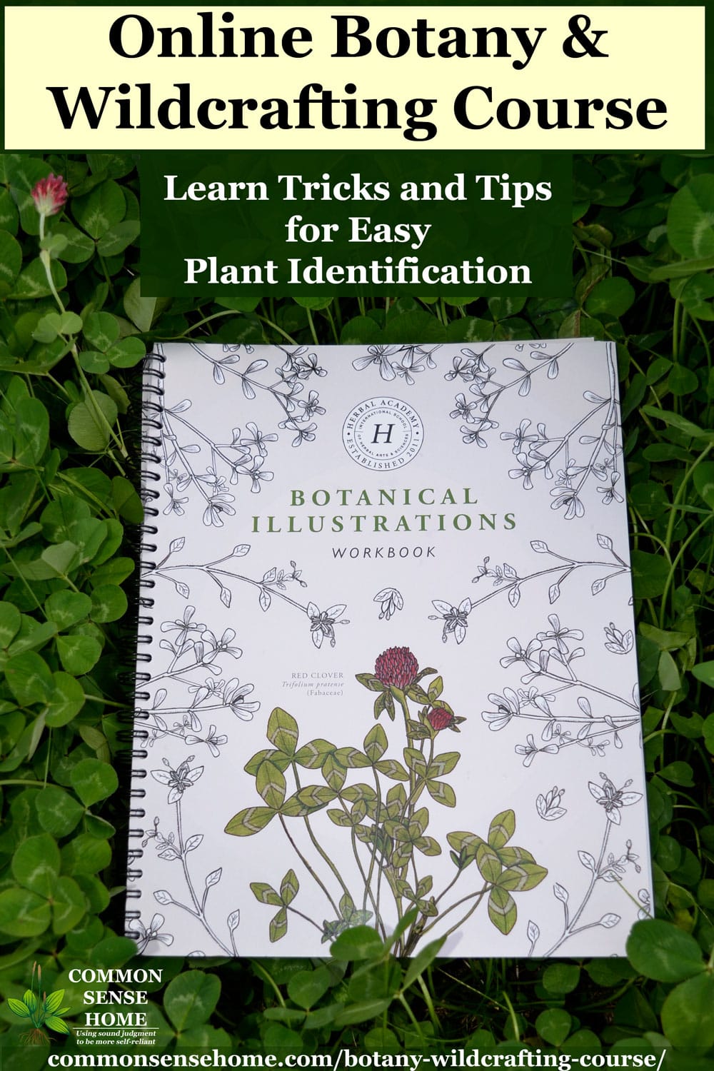 Botanical Illustrations Notebook in a patch of clover