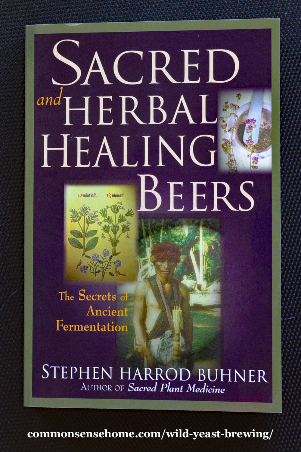 Sacred Healing and Herbal Beers book