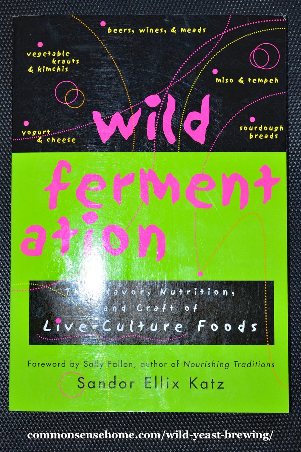 wild fermentation book