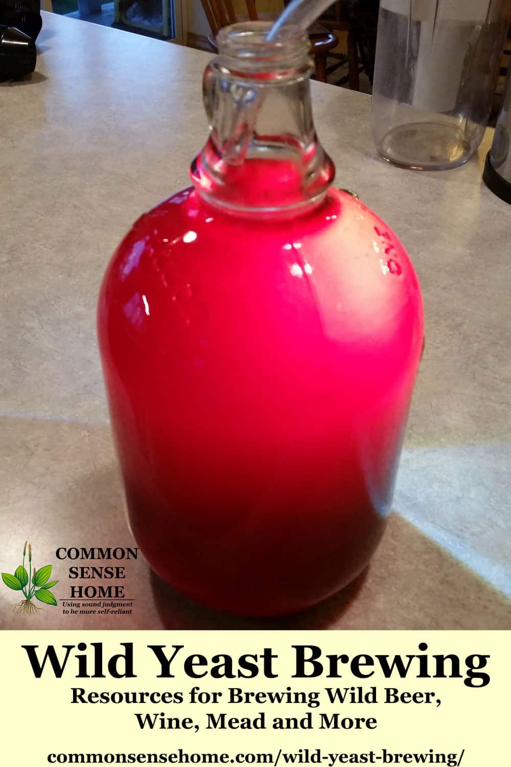 Gallon glass jug filled with hot pink wild wine