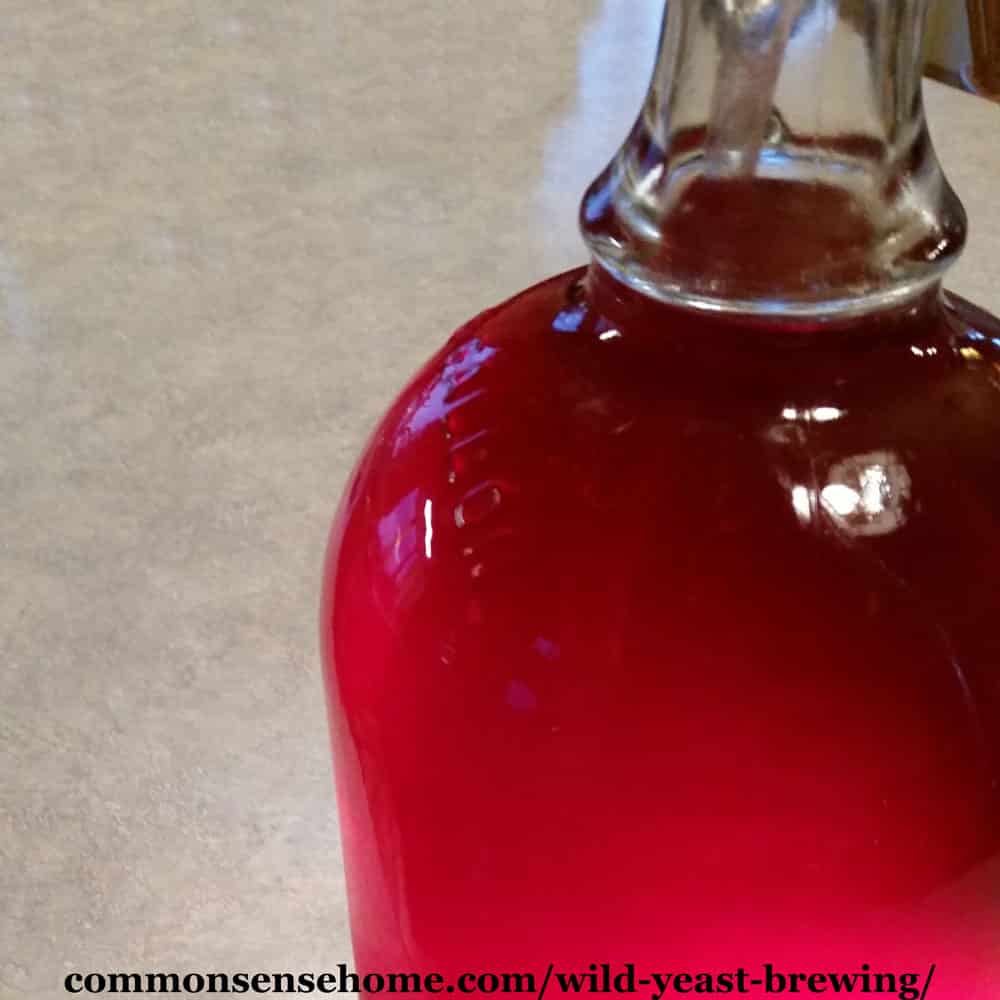 hot pink wild wine in a gallon glass jug