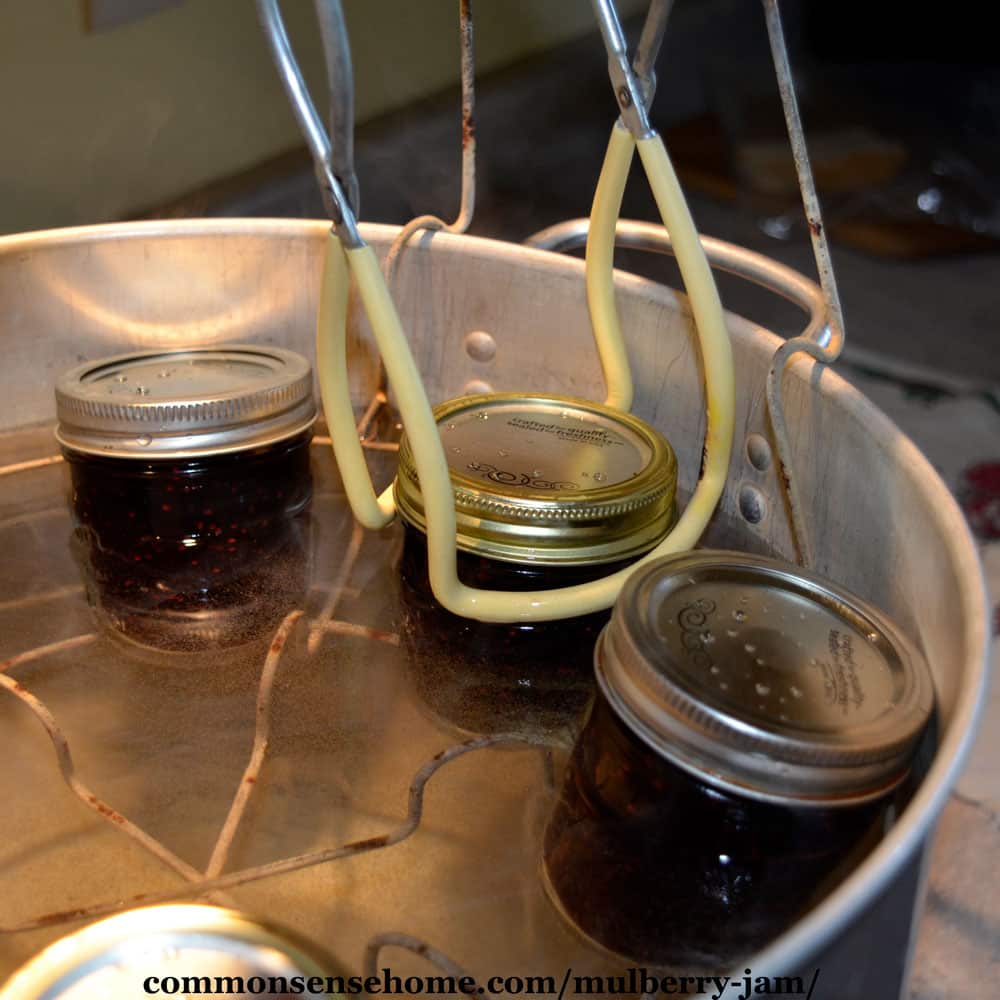 placing jars of mulberry jam in canner