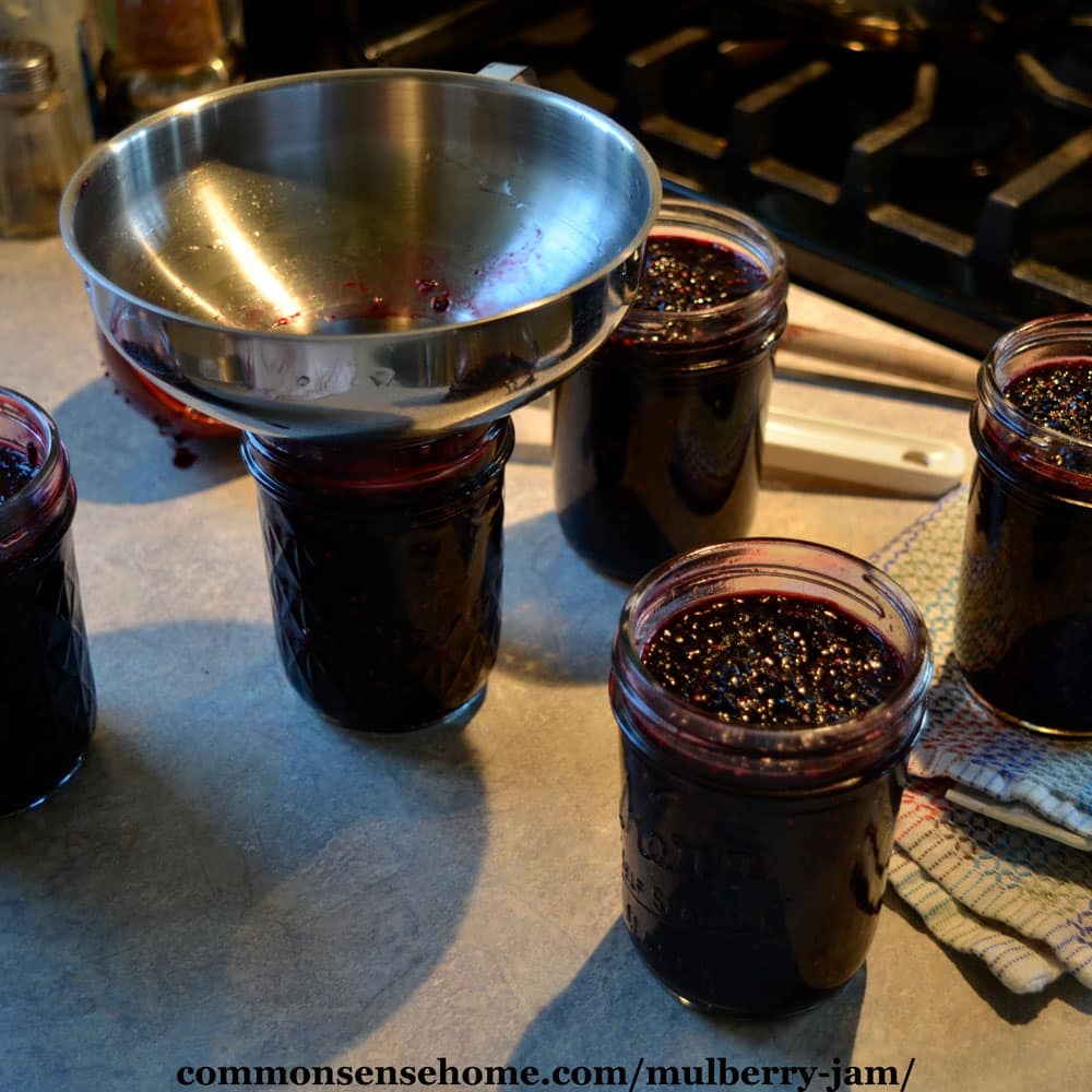 filling mason jars with mulberry jam