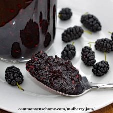 How to make discount mulberry freezer jam