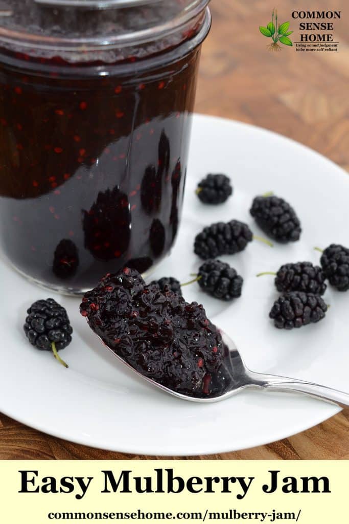 mulberry jam on spoon with mulberries in background