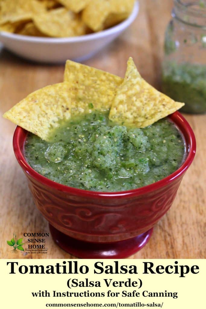 tomatillo salsa with tortilla chips in a red bowl