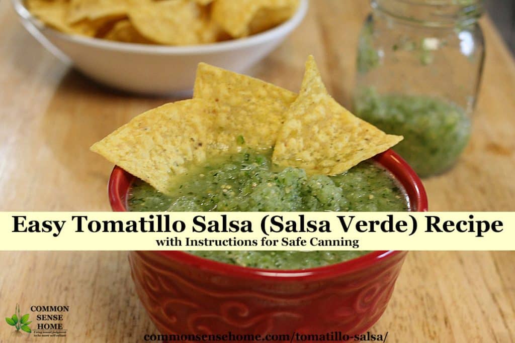 salsa verde (tomatillo salsa) in a red bowl with chips