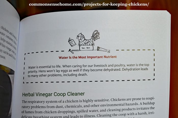 chicken project book interior