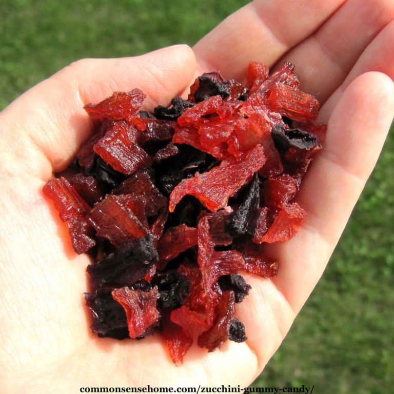 Zucchini Gummy Candy – A Fun and Easy Zucchini Recipe