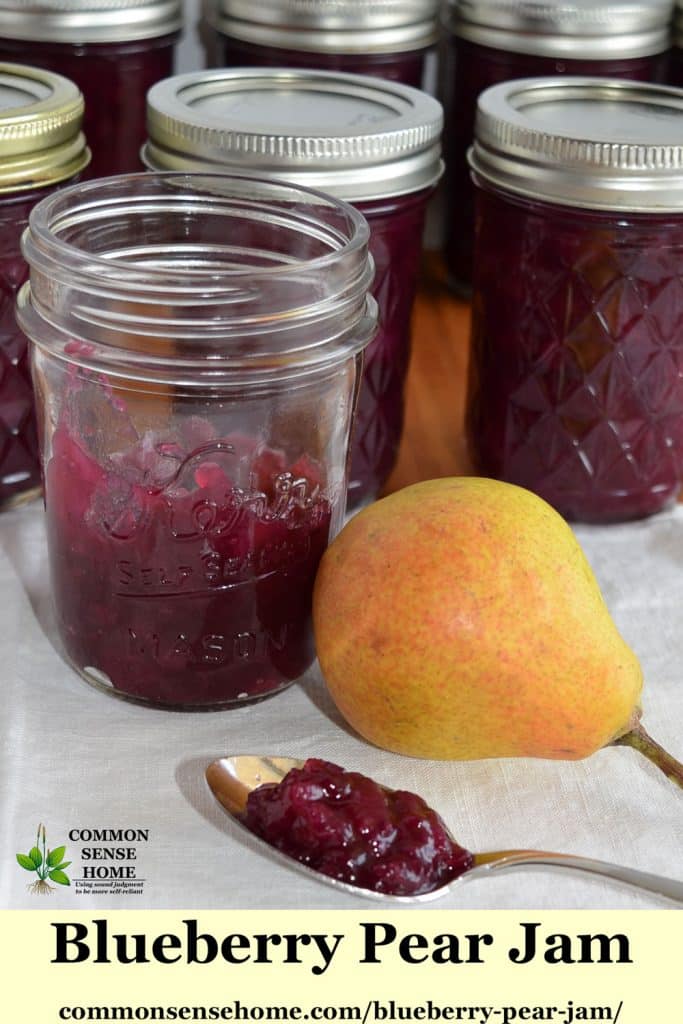 Blueberry Pear Jam - Sweet Pears & Juicy Blueberries