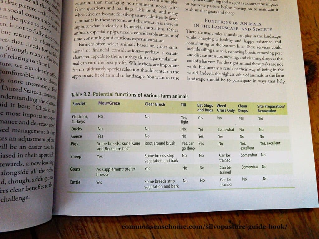 silvopasture book interior chart