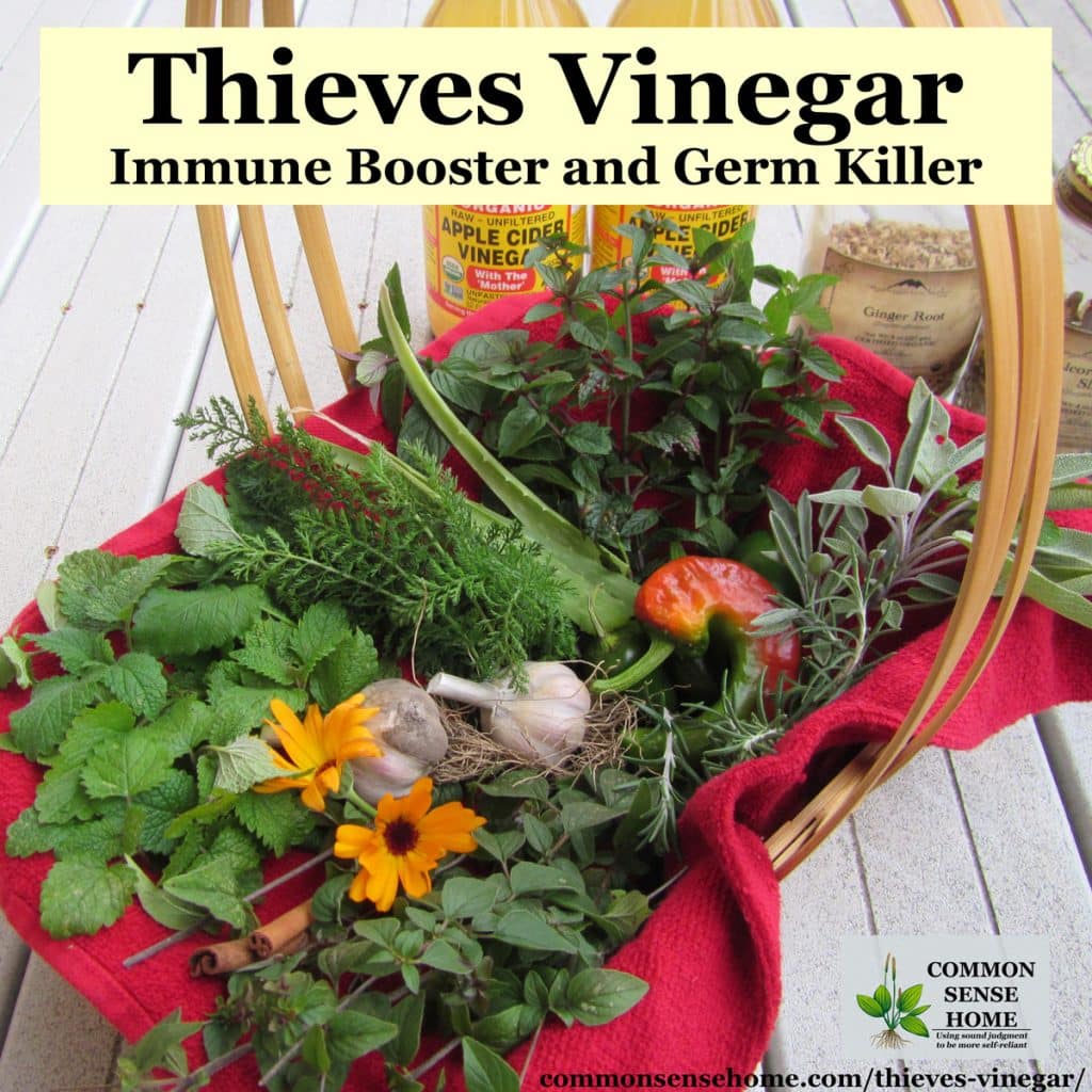 basket of thieves vinegar herbs