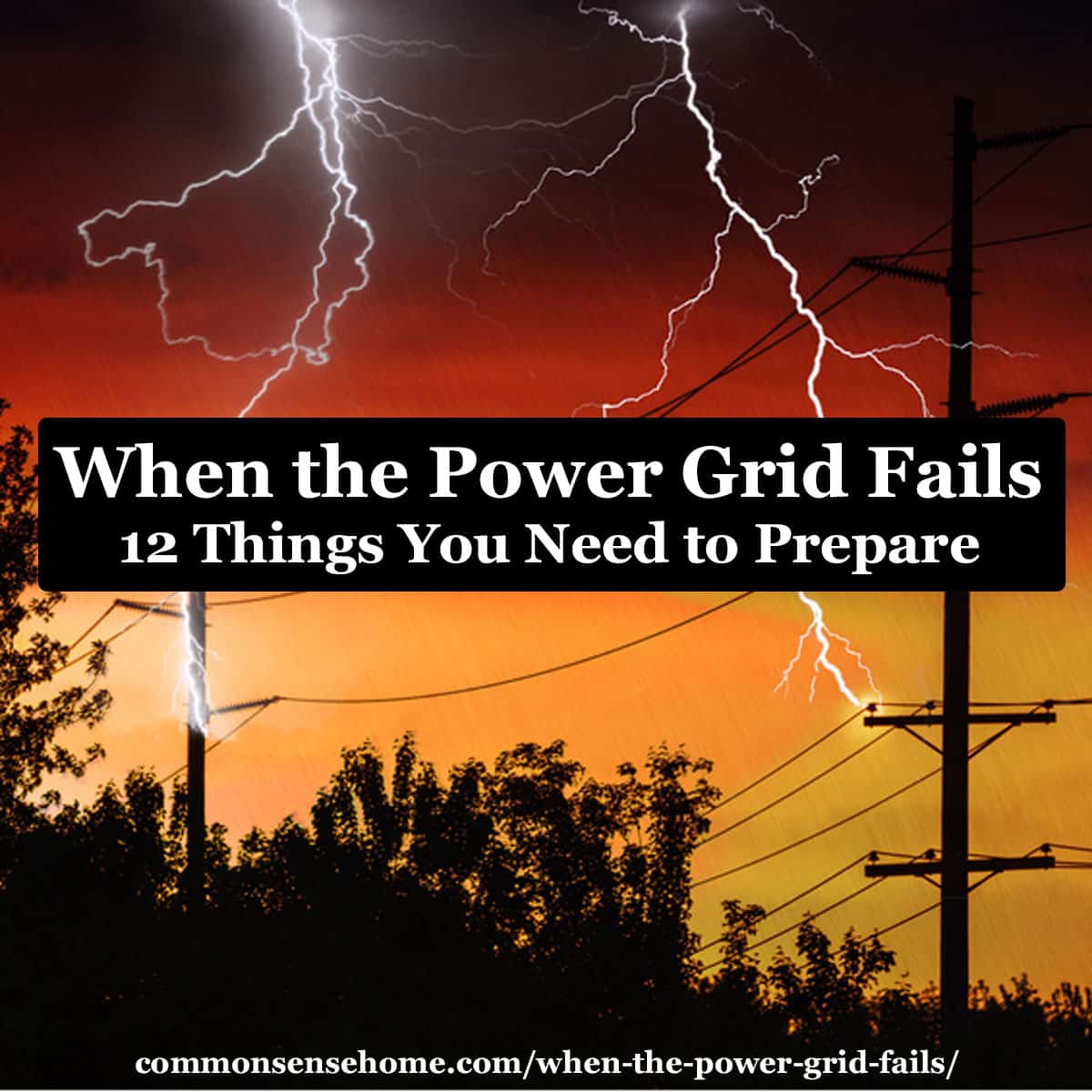 When the Power Grid Fails