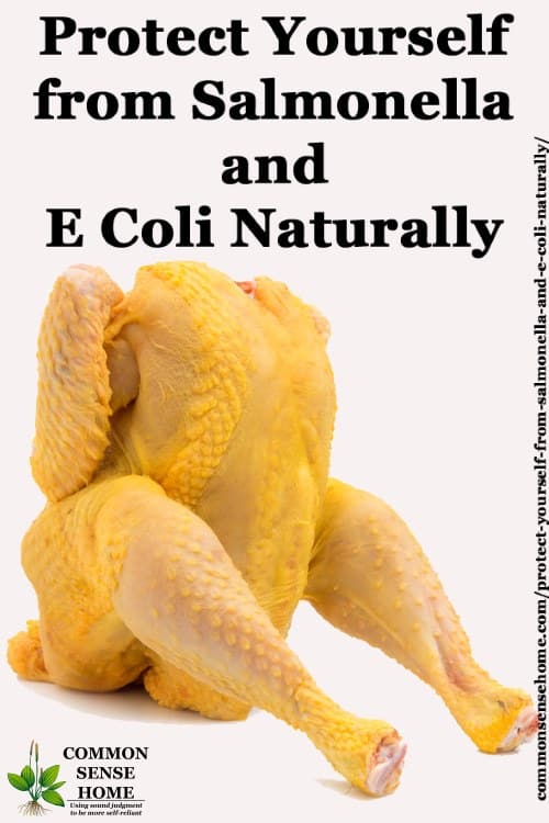 Protect Yourself From Salmonella And E Coli Naturally